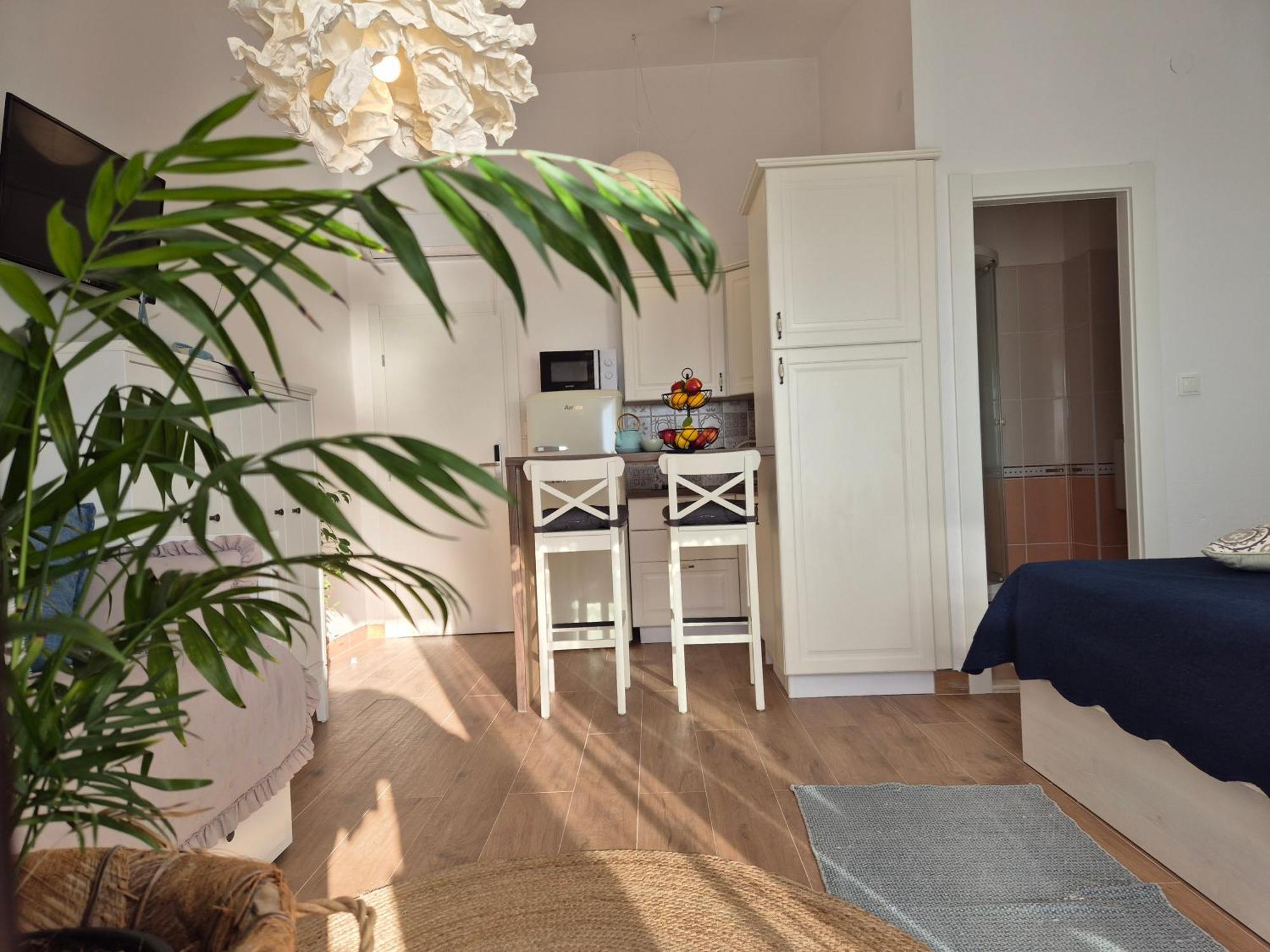 Apartments Horizont ロゴズニッツァ 部屋 写真