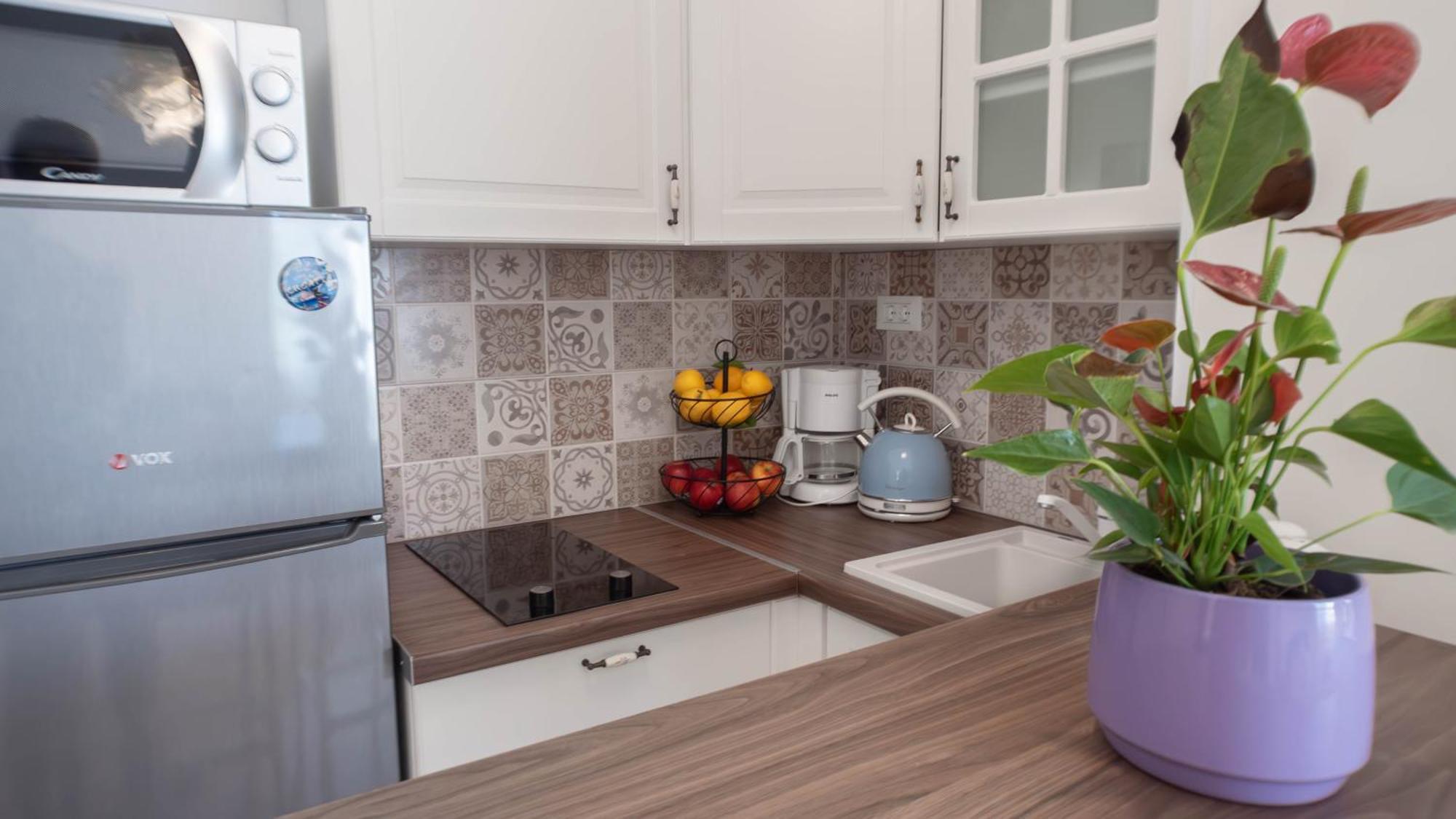 Apartments Horizont ロゴズニッツァ 部屋 写真